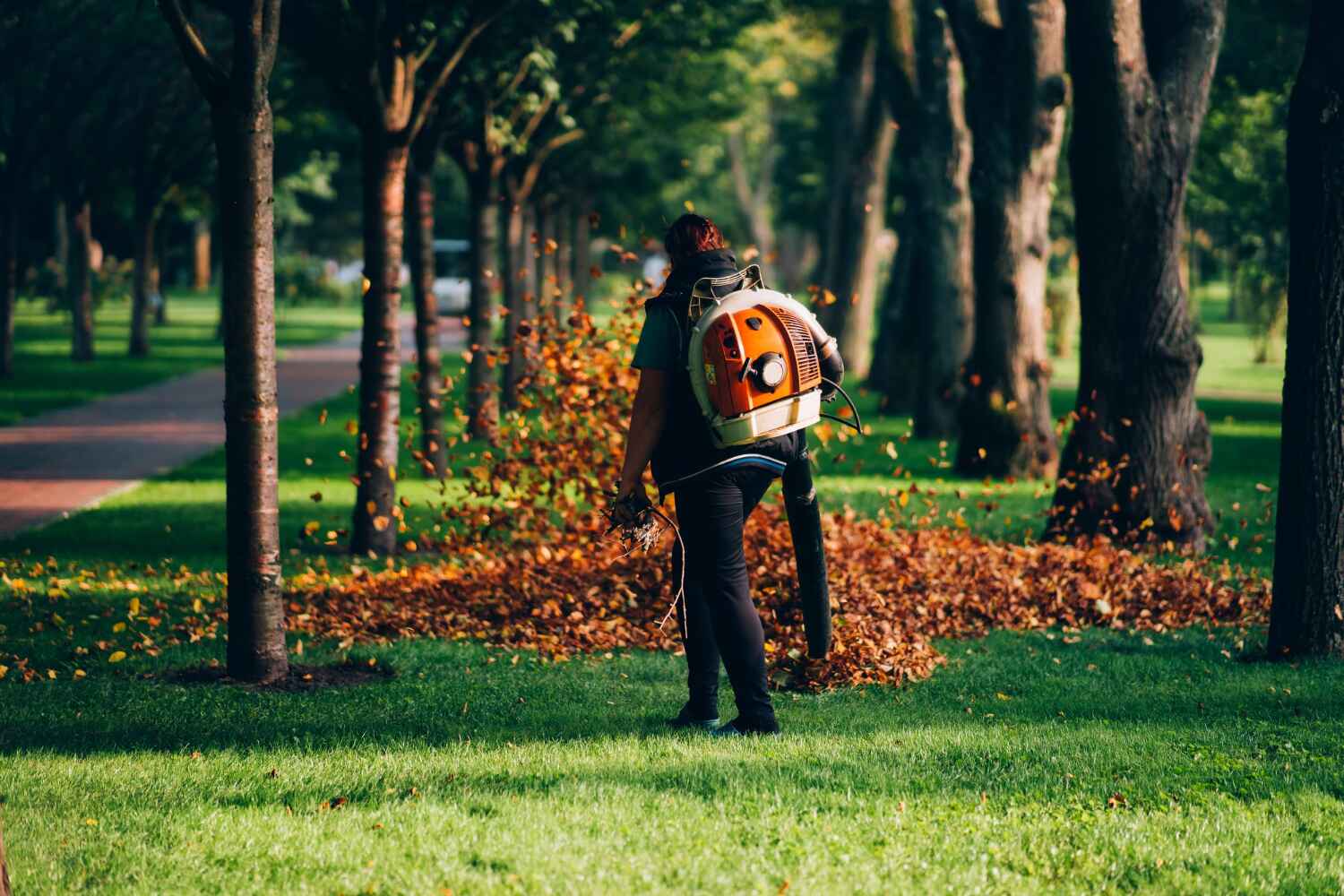 Best Tree Clearing Services  in Kemah, TX